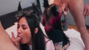 Curvy Kitties Explore New Pleasures in an Intimate Foursome Adventure